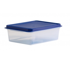 Studio 2L Rect Food Box Clear/Blue