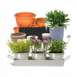Planters, Pots & Trays