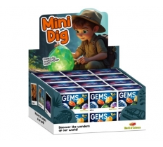 Mini Dig In Display