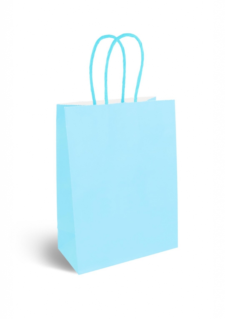 Baby Blue Paper Party Bag with Coloured Handles (16 x22X8CM) - Click Image to Close