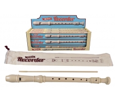 Recorder In Colour Box & Display Box