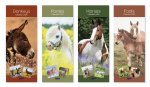 2026 Calendar Super Slim Donkey,Foal,Horse, Pony