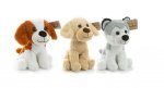 Plush Puppy 25cm ( Assorted Colours )