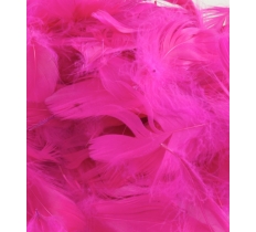 Eleganza Feathers Mixed Sizes 3Inch-5Inch 50G Bag Fuchsia