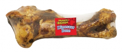 Dinosaur Bone