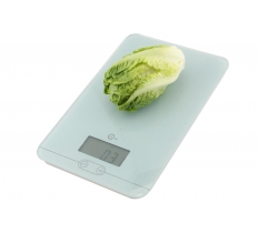 Apollo Digital Scale White