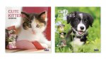 2026 Calendar Sq Kittens and Puppies
