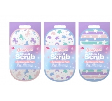 2 In 1 Antibacterial Scrubbing Pad