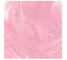 Eleganza Craft Fetahers Mixed Sizes 8G Bag Light Pink