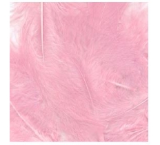 Eleganza Craft Fetahers Mixed Sizes 8G Bag Light Pink
