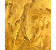 Eleganza Craft Feathers Mixed Sizes 3"-8" 8G Bag Gold