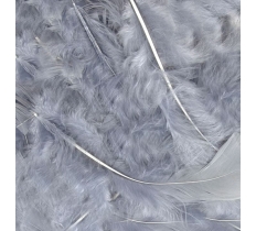 Eleganza Craft Feathers Mixed Sizes 3"-8" 8G Bag Silver