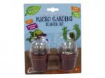 Grow Your Own Micro Garden