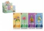 Flowers Building Blocks Series 2 16cm