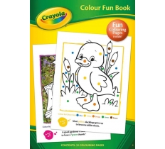 Crayola Activity Book