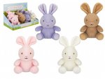 Easter Cute Beanie Minky Bunny 13cm