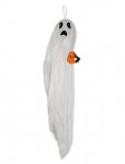 Halloween Spooky Moving Ghost Light 1.1M