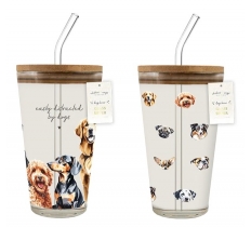 Glass Sipper with Straw 400ML
