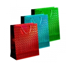 Holographic Bag Large