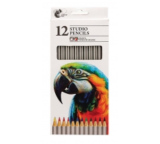 Studio Pencils - 12 Pack