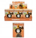 Dig Out Capybara Glow Kit