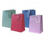 Gift Bag - Embossed Brights - Medium ( 18 X 23 X 10cm )