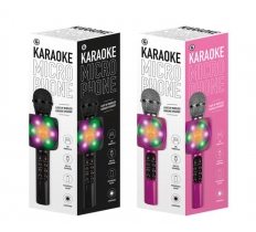 Karaoke Microphone