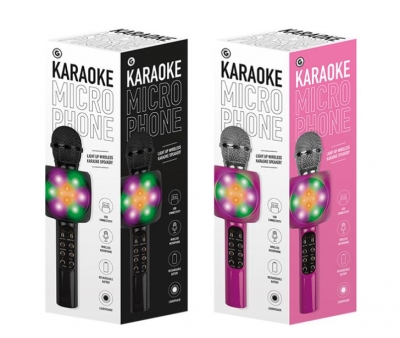 Karaoke Microphone