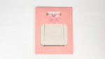 Pink Small Gift Bag 24 x 19 x 9cm