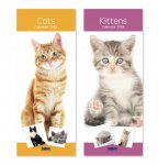 2026 Calendar Super Slim Cats & Kittens