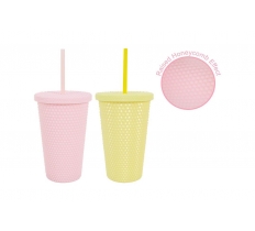 Tumbler Double Wall Straw 500ml