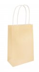 Ivory Paper Party Bag With Handles 14 x 21 x 7cm