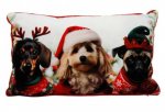 Christmas Dog In Hat Cushion 30x50cm