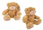 Plush Bear 17cm