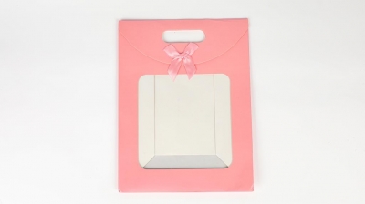 Pink Large Gift Bag 29 x 22 x 12cm
