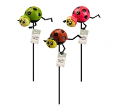 Wobbly Ladybird Garden Stake 42.5cm