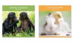 2026 Calendar Sq Animal Families, Cute & Fluffy