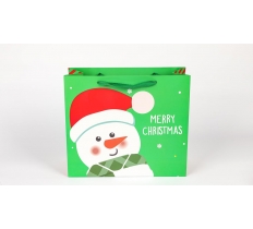 Snowman Green Gift bag small 25x21x10cm