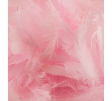 Eleganza Feathers Mixed Sizes 3Inch-5Inch 50G Bag Lt. Pink