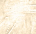 Eleganza Craft Marabout Feathers Mixed Sizes Ivory 8G