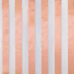 16 Rose Gold Strp Lun Nap-Fs