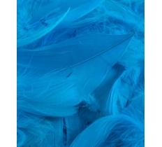 Eleganza Feathers Mixed Sizes 3Inch-5Inch 50G Bag Turquoise