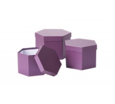Hexagonal Hat Boxes Berry Set of 3
