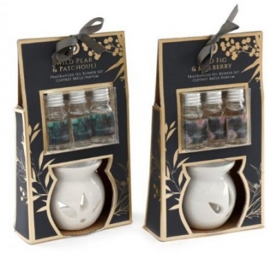 Synergy Oil Warmer Set