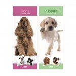 2024 Calendar Super Slim Dogs & Puppies