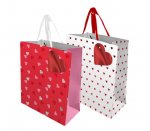 Valentines Day Medium Gift Bag