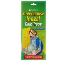 Green House Fly Catcher 3pack