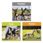 2026 Calendar Sq Donkeys, Horses & Foals
