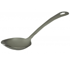 Stainless Steel Serving spoon