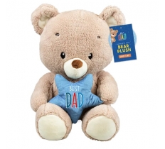 Daddy & Mini Me Plush Bear 30cm